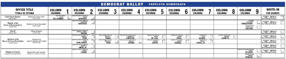 Rubin-ballot image 062620.png