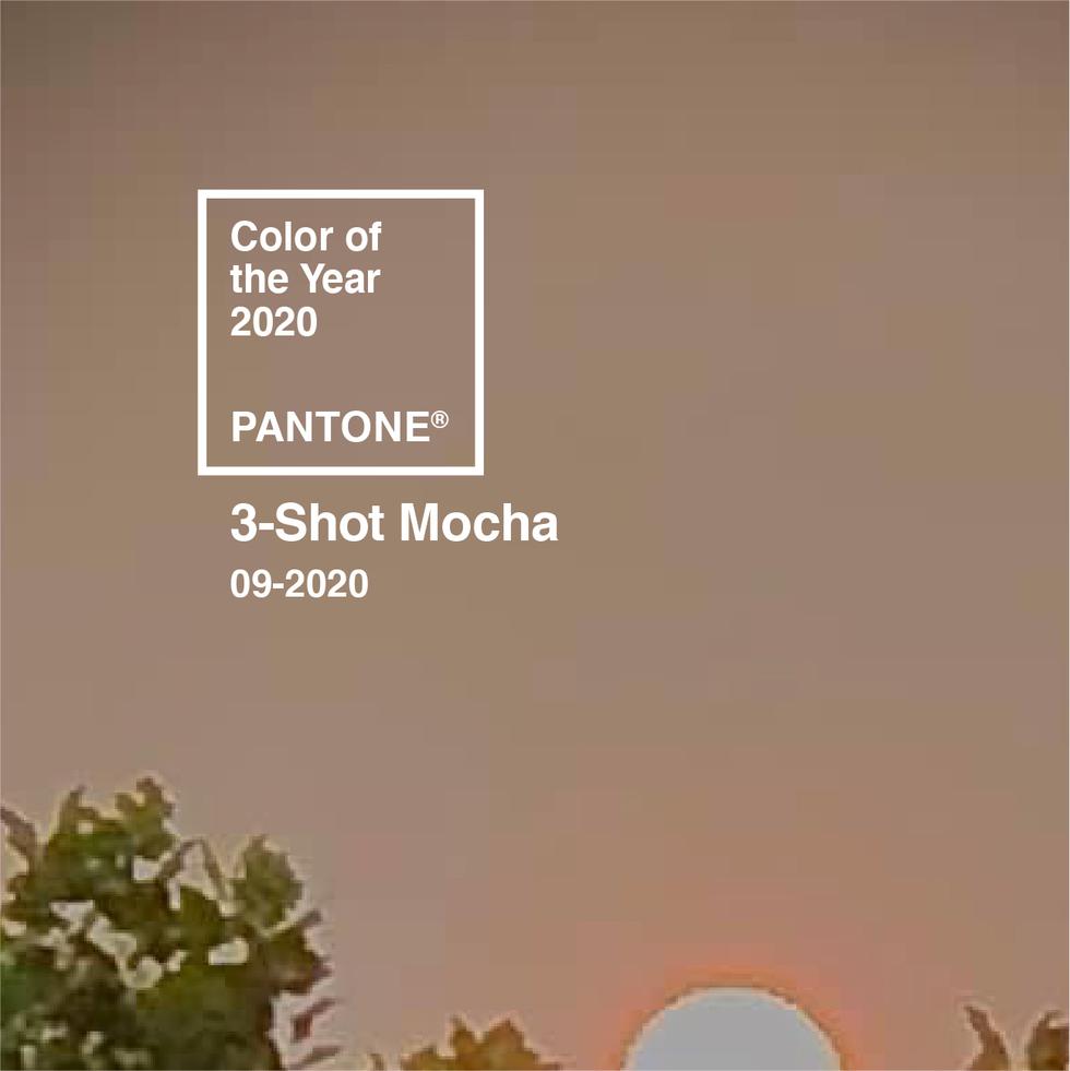 3-shot mocha.jpg