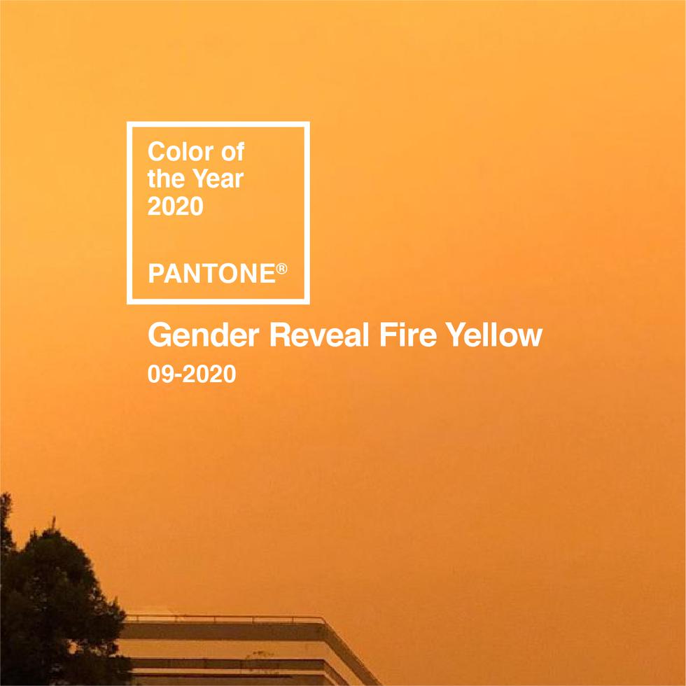 gender reveal fire yellow.jpg