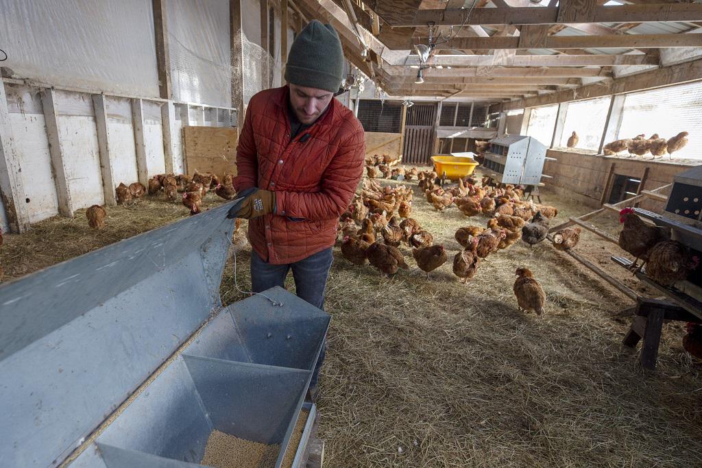 Animal rights group says chickens were abused, but Tyson Foods cut ties  with the farm on its own