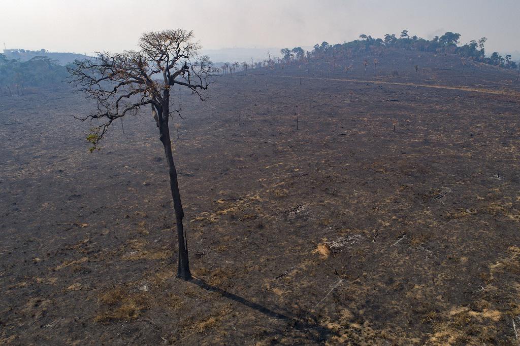 The U.N. Wants to Criminalize Climate Change - The American Prospect