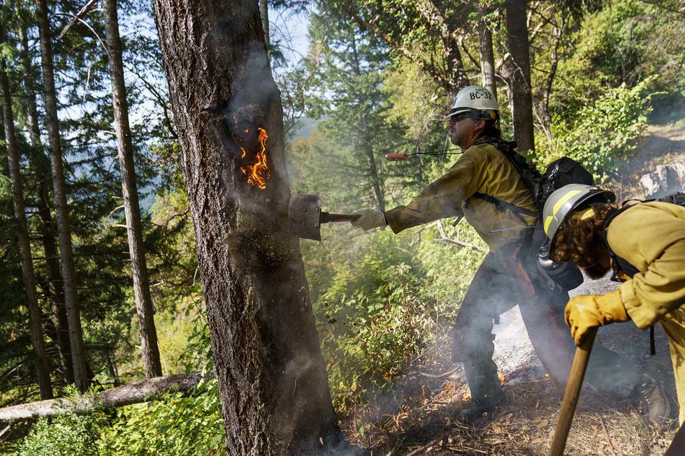 Balmat-CA wildfires 082924 2.jpg